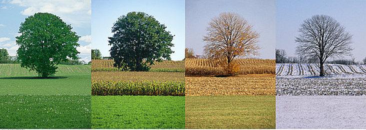 任天堂新一期独立游戏直面会将于11.10凌晨1点举行